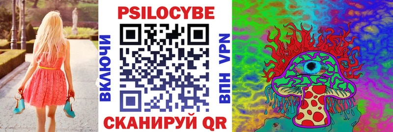 купить   Переславль-Залесский  Псилоцибиновые грибы GOLDEN TEACHER 